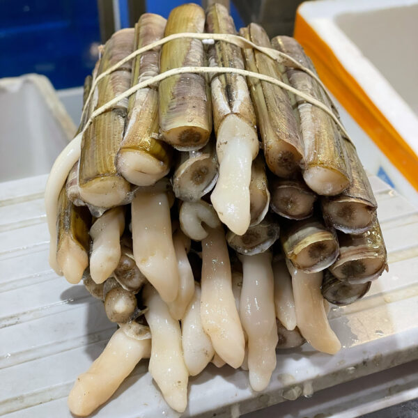 蟶子皇