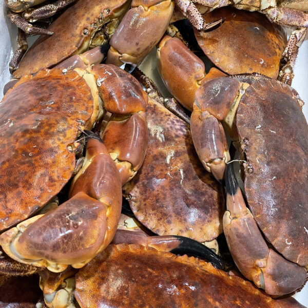 麵包蟹