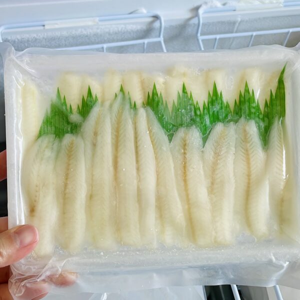 白鱚魚