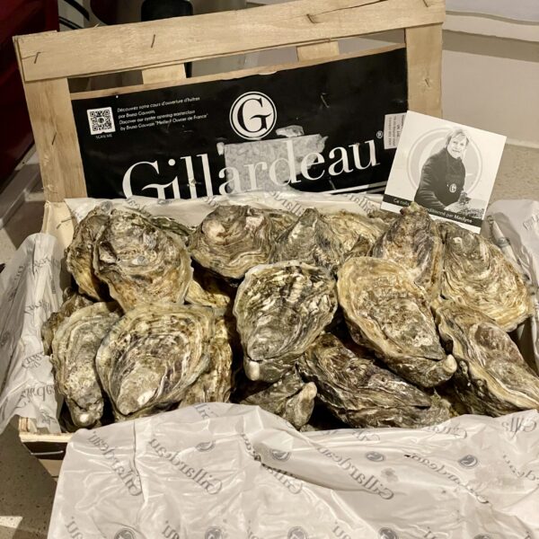 法國 Gillardeau N1 (12pcs)