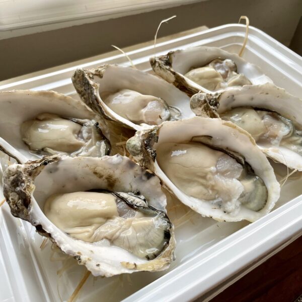 法國 Gillardeau N1 (12pcs) - Image 2