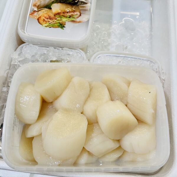 透明盒美國帶子 M size