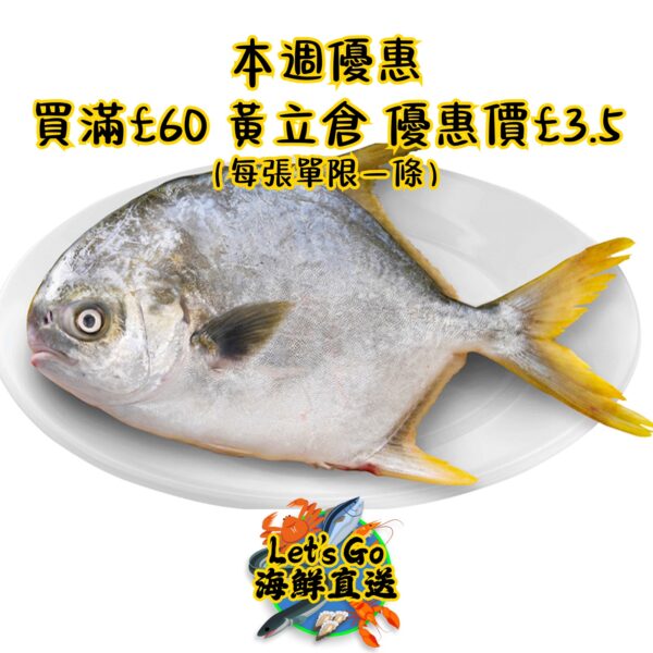黃立䱽魚 /pc