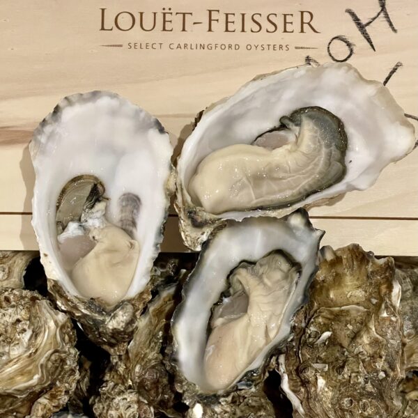 愛爾蘭 Louët-Feisser