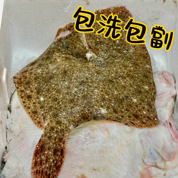 多寶魚