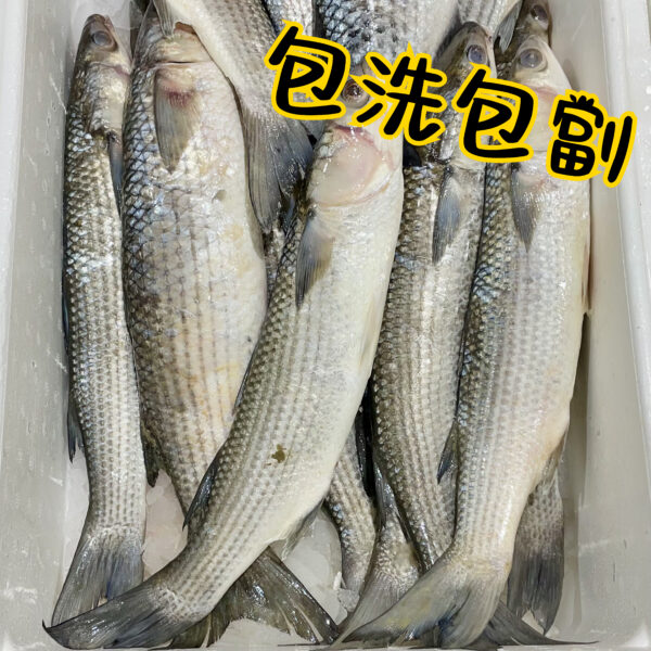 烏頭