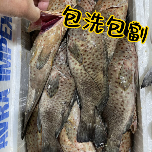 芝麻斑