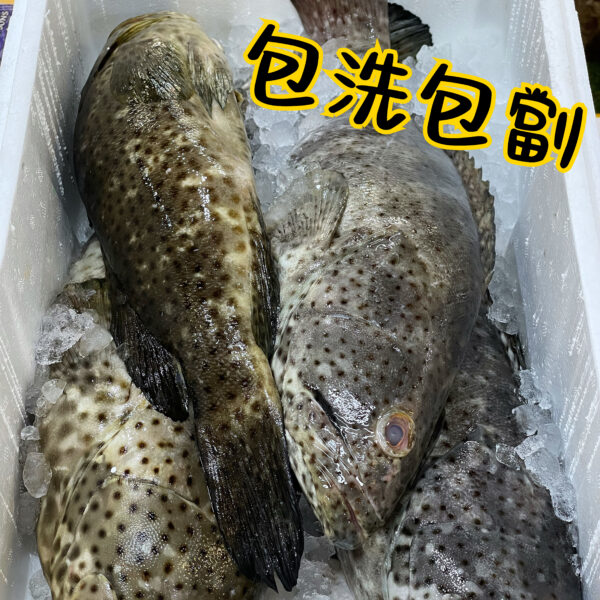 青斑