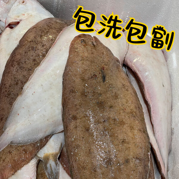 龍利魚