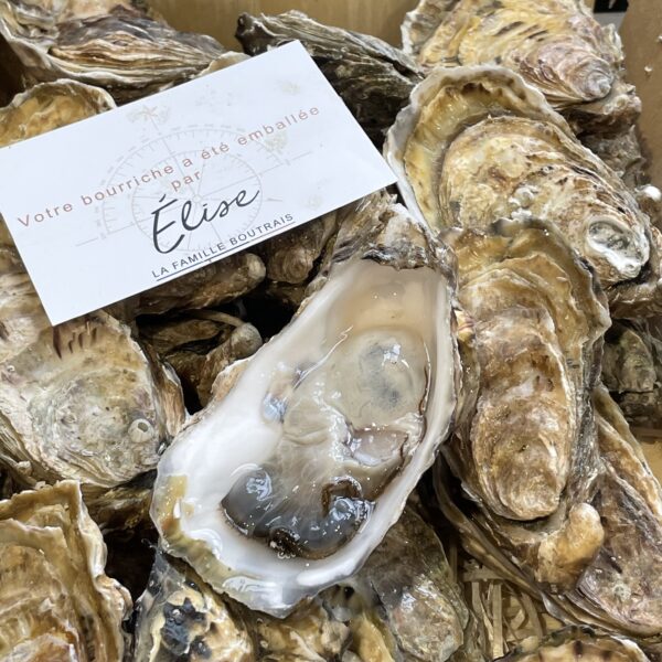 法國 Céline Oyster N1 XL - Image 2
