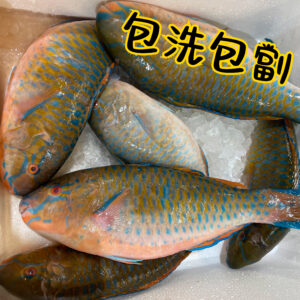 青衣魚