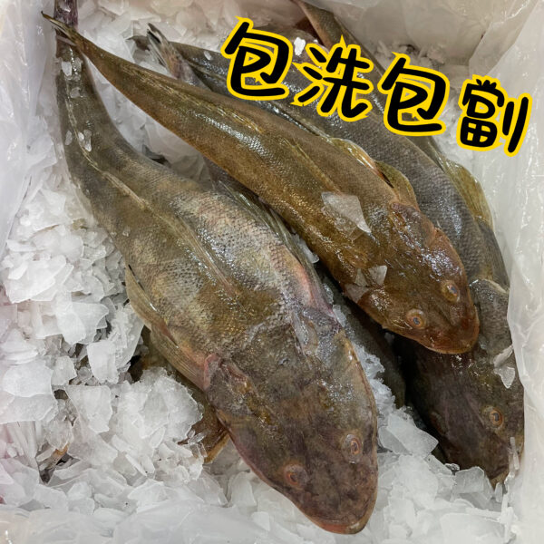 牛鰍魚