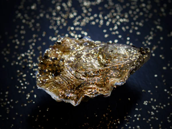 法國 Ostra Regal 金箔生蠔 N1 (12pcs)