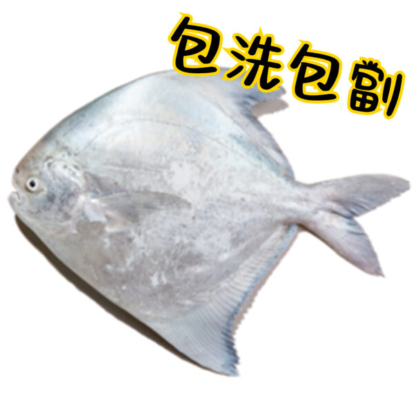 鷹䱽