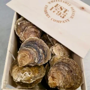 Whitstable Native Oyster 野生扁蠔
