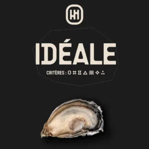 法國 IDÉALE 生蠔(12pcs)